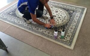 Carpet Cleaning Stain removal