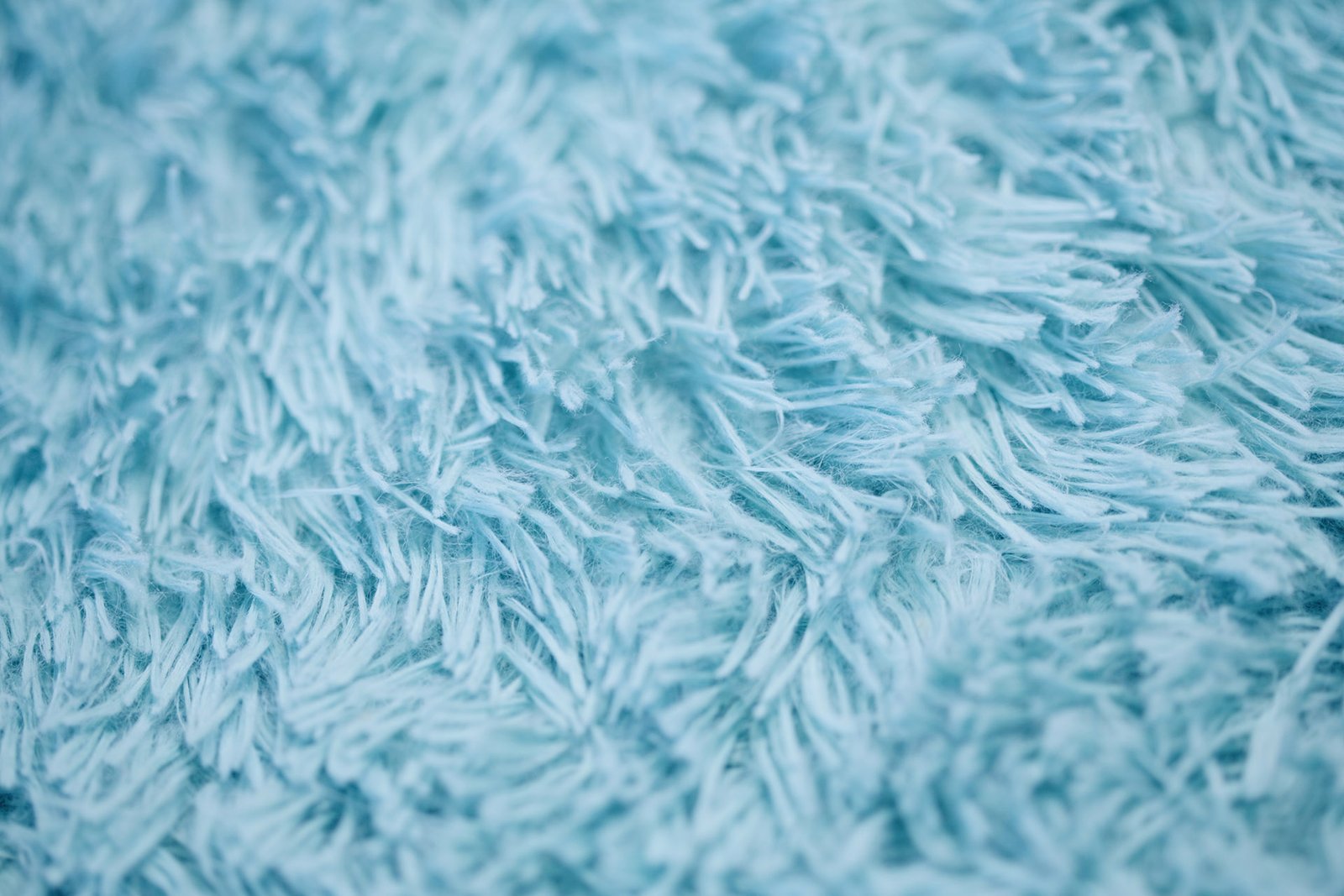 Close-up of a soft blue shaggy rug after cleaning
